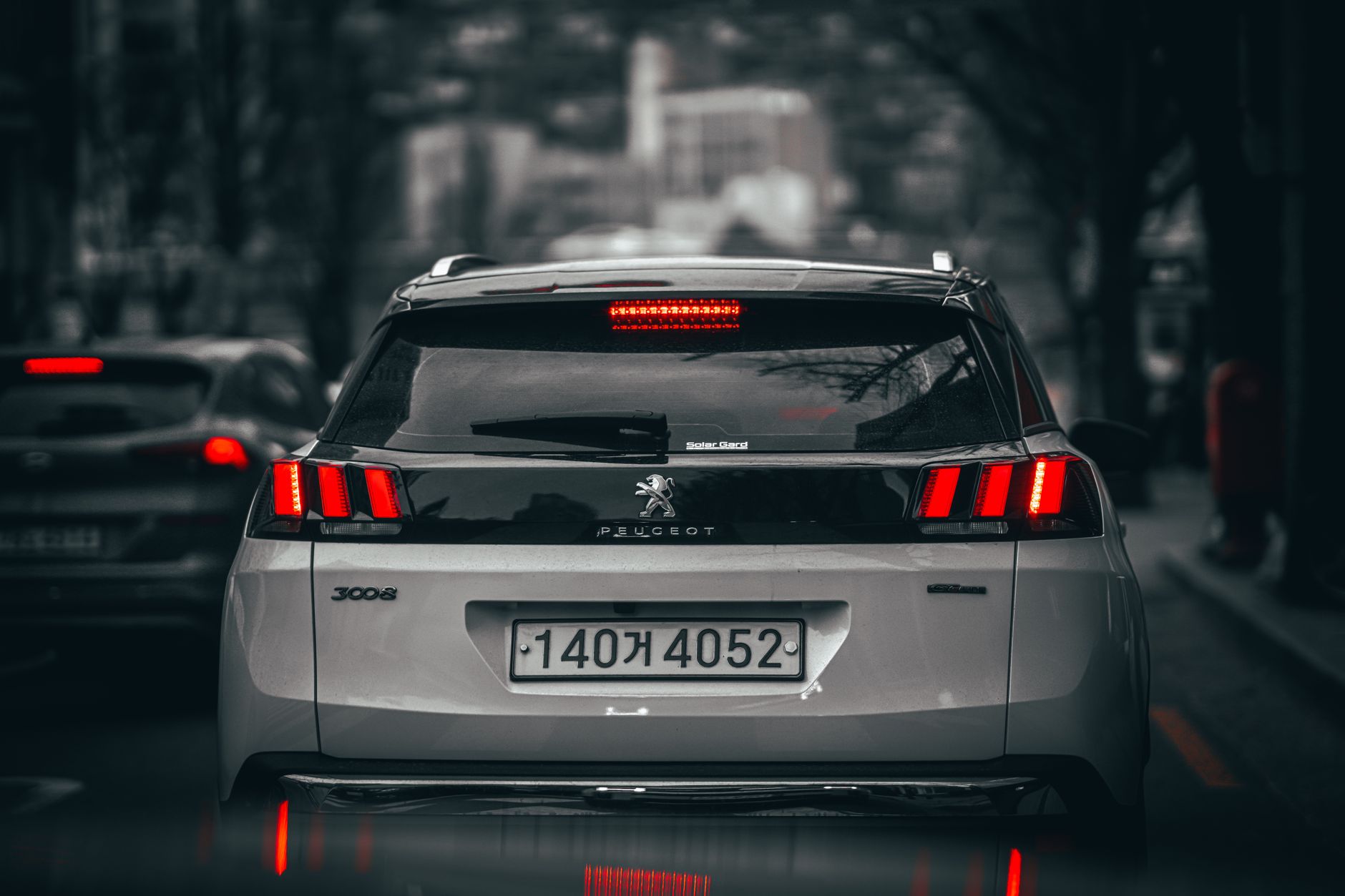 SUV 짐칸에 실린 짐